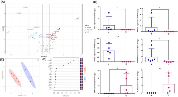 https://cdn.ncbi.nlm.nih.gov/pmc/blobs/a49c/11680479/04ea15725f3b/AME2-7-944-g006.jpg