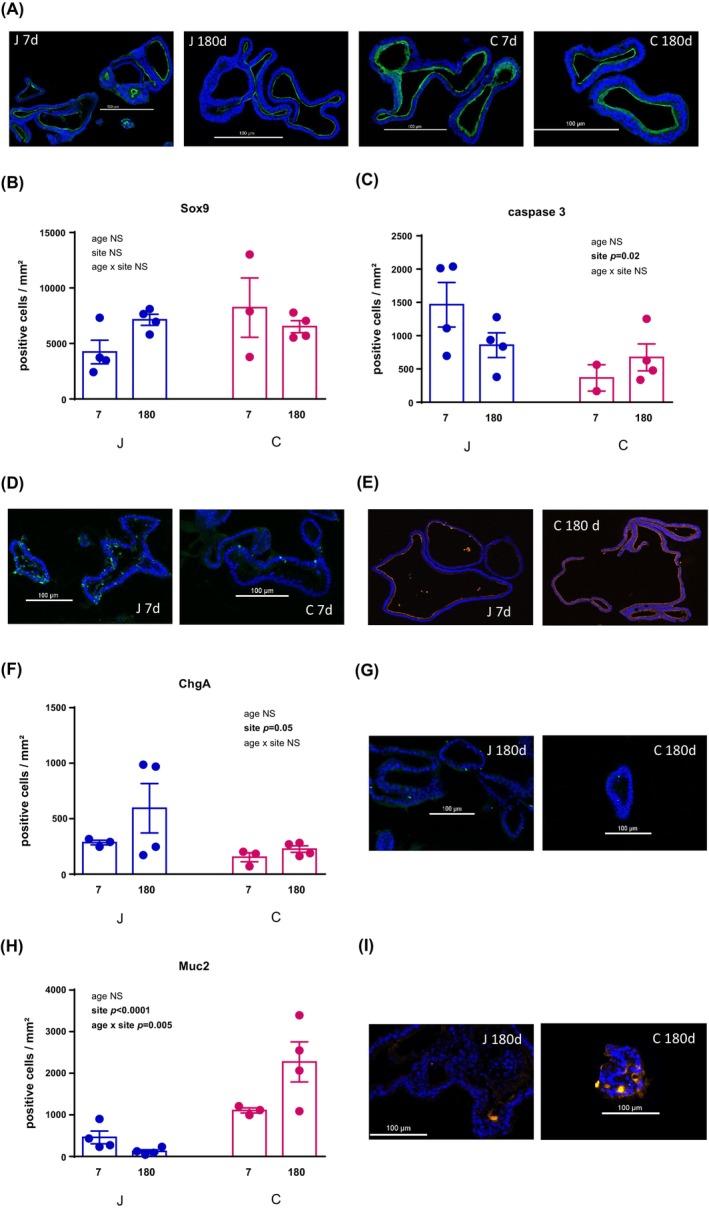 https://cdn.ncbi.nlm.nih.gov/pmc/blobs/a49c/11680479/2980fc9276e7/AME2-7-944-g001.jpg