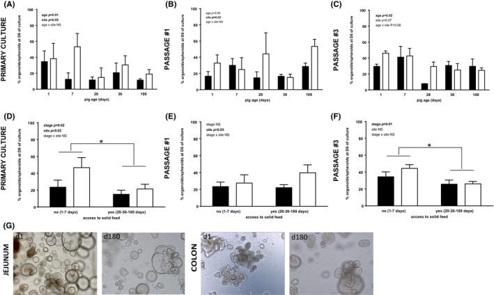 https://cdn.ncbi.nlm.nih.gov/pmc/blobs/a49c/11680479/a5a0116d39bf/AME2-7-944-g005.jpg