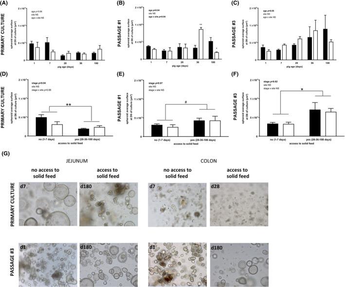 https://cdn.ncbi.nlm.nih.gov/pmc/blobs/a49c/11680479/d47003f397d2/AME2-7-944-g002.jpg