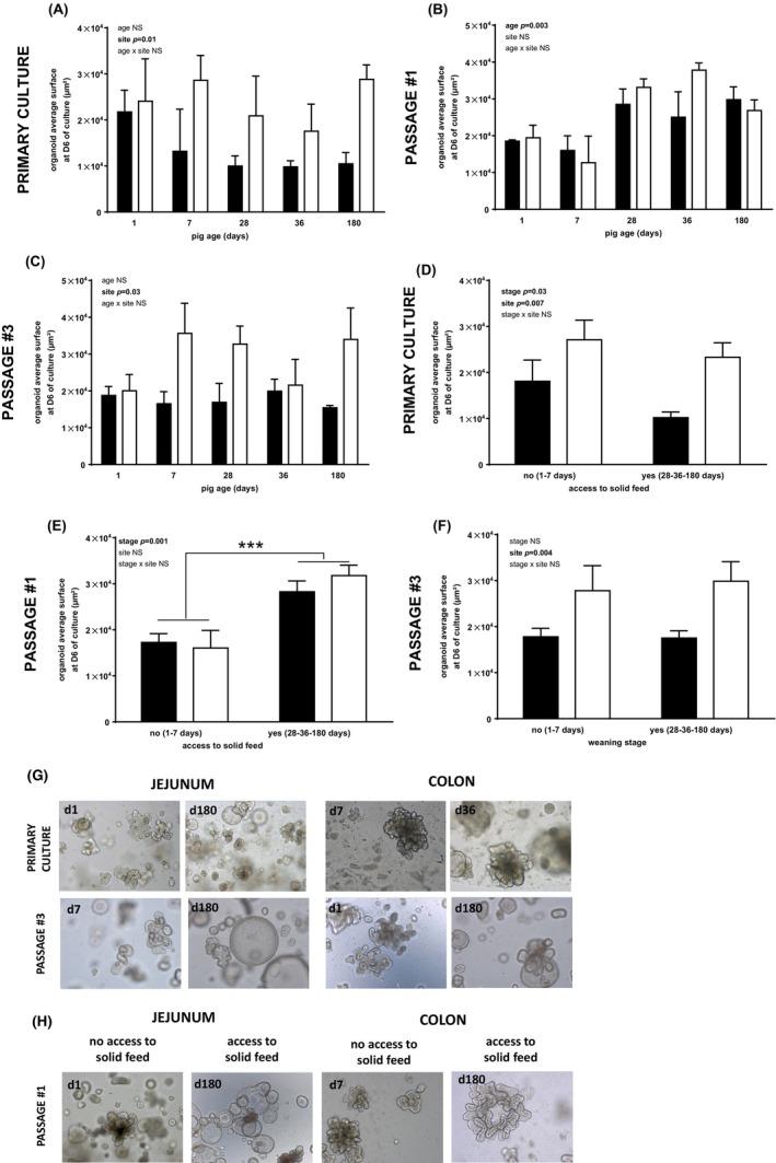 https://cdn.ncbi.nlm.nih.gov/pmc/blobs/a49c/11680479/ea92978284b5/AME2-7-944-g007.jpg