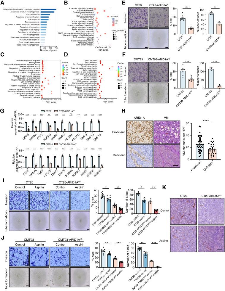 https://cdn.ncbi.nlm.nih.gov/pmc/blobs/a49c/11873721/79cb58581d85/can-24-1611_f6.jpg