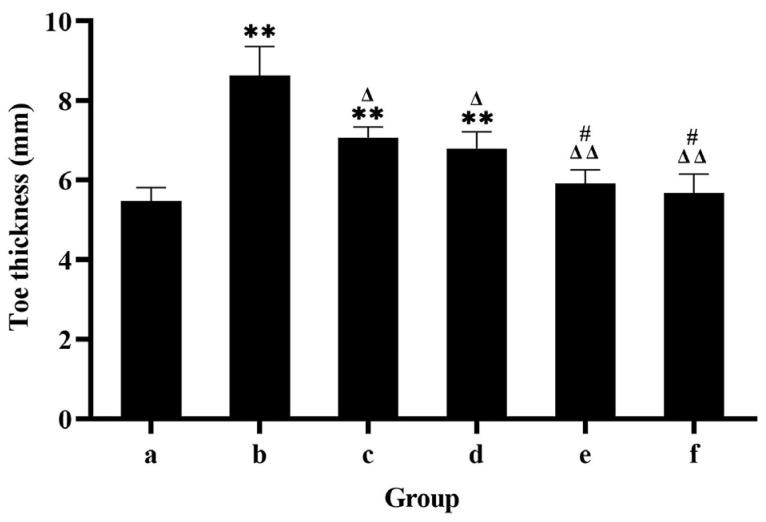 https://cdn.ncbi.nlm.nih.gov/pmc/blobs/a49e/11859316/3cc4fe1f6bfe/pharmaceutics-17-00169-g005.jpg