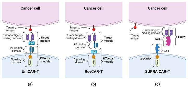 https://cdn.ncbi.nlm.nih.gov/pmc/blobs/a49f/10252035/f8e23cac4475/cancers-15-02944-g003.jpg
