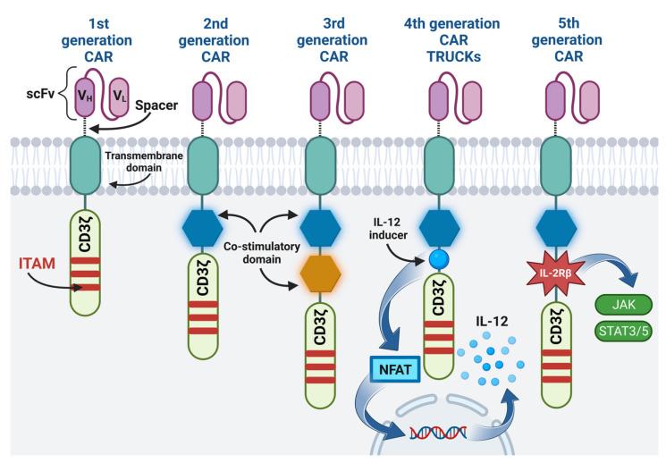 https://cdn.ncbi.nlm.nih.gov/pmc/blobs/a49f/10252035/fcb2aa9573a4/cancers-15-02944-g001.jpg