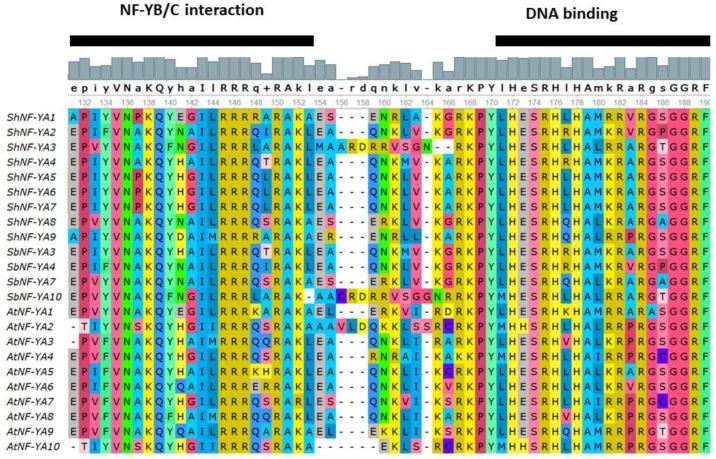 https://cdn.ncbi.nlm.nih.gov/pmc/blobs/a49f/10298139/d90384813604/genes-14-01147-g002.jpg