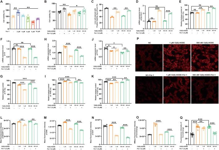 https://cdn.ncbi.nlm.nih.gov/pmc/blobs/a49f/12162603/0849dbe17ea0/fcell-13-1610621-g006.jpg