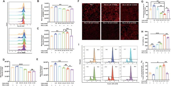 https://cdn.ncbi.nlm.nih.gov/pmc/blobs/a49f/12162603/11f08660e2f2/fcell-13-1610621-g005.jpg