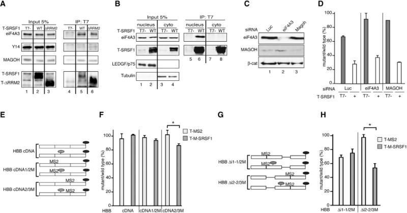 https://cdn.ncbi.nlm.nih.gov/pmc/blobs/a4a0/5999336/1c275017419b/nihms970657f2.jpg