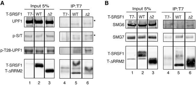 https://cdn.ncbi.nlm.nih.gov/pmc/blobs/a4a0/5999336/47f742248b6e/nihms970657f5.jpg