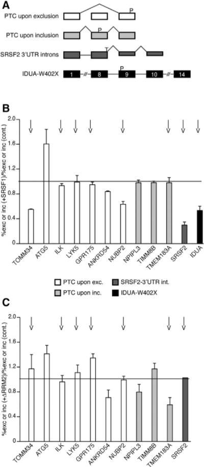 https://cdn.ncbi.nlm.nih.gov/pmc/blobs/a4a0/5999336/63789408670f/nihms970657f6.jpg