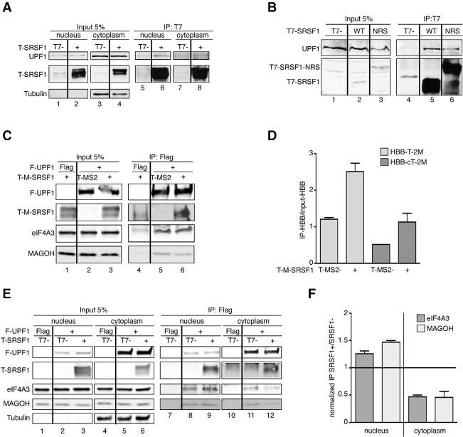 https://cdn.ncbi.nlm.nih.gov/pmc/blobs/a4a0/5999336/be81b8e454b1/nihms970657f4.jpg