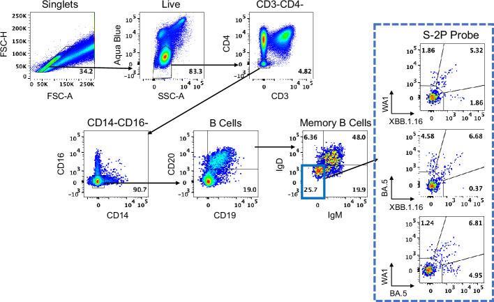 https://cdn.ncbi.nlm.nih.gov/pmc/blobs/a4a4/11436372/0561e35b64f7/41590_2024_1951_Fig11_ESM.jpg
