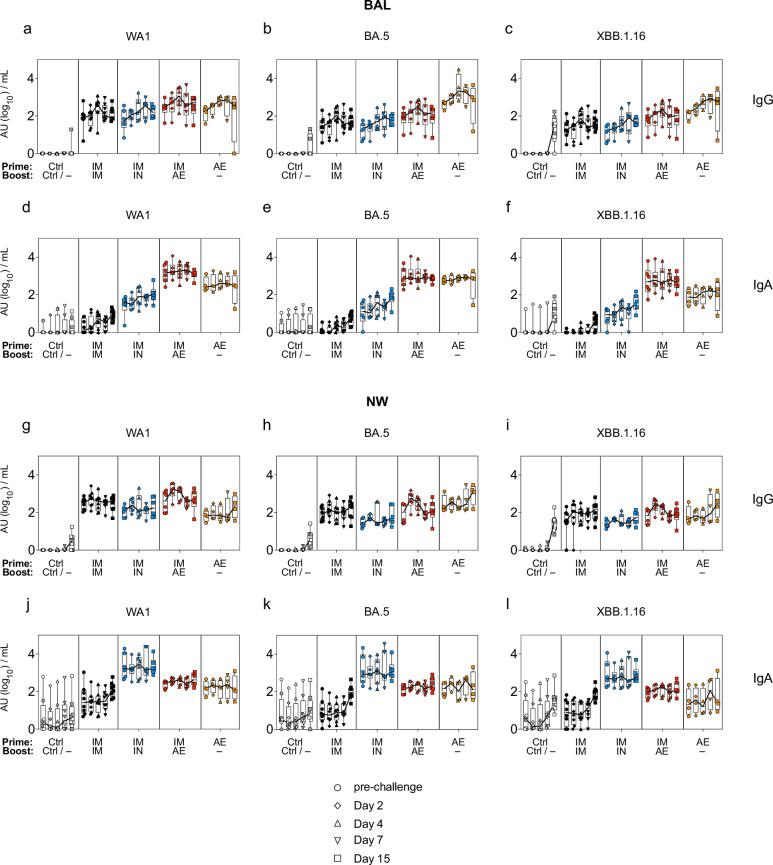https://cdn.ncbi.nlm.nih.gov/pmc/blobs/a4a4/11436372/1ede0e90e0cc/41590_2024_1951_Fig14_ESM.jpg