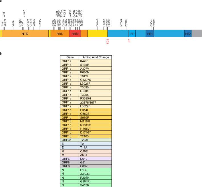 https://cdn.ncbi.nlm.nih.gov/pmc/blobs/a4a4/11436372/20c690223559/41590_2024_1951_Fig8_ESM.jpg
