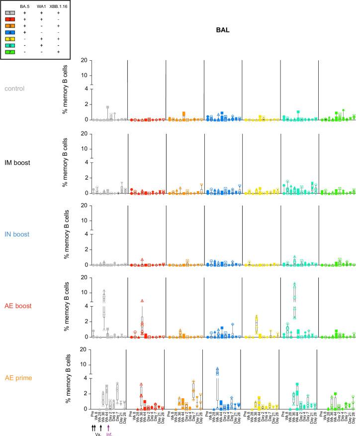 https://cdn.ncbi.nlm.nih.gov/pmc/blobs/a4a4/11436372/2158c60bea7a/41590_2024_1951_Fig12_ESM.jpg