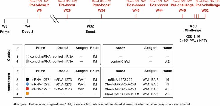 https://cdn.ncbi.nlm.nih.gov/pmc/blobs/a4a4/11436372/38fa83384593/41590_2024_1951_Fig7_ESM.jpg