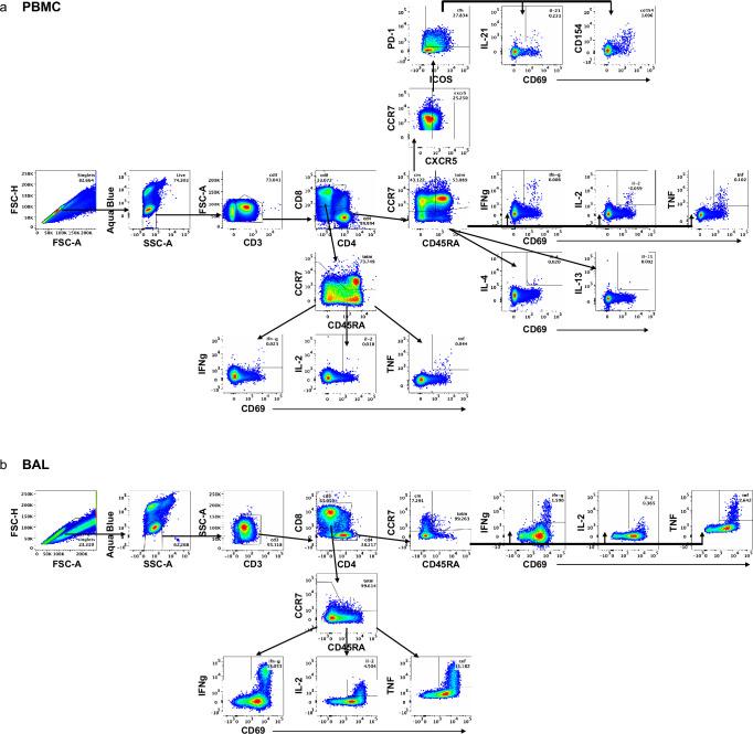 https://cdn.ncbi.nlm.nih.gov/pmc/blobs/a4a4/11436372/b225d8295d01/41590_2024_1951_Fig15_ESM.jpg