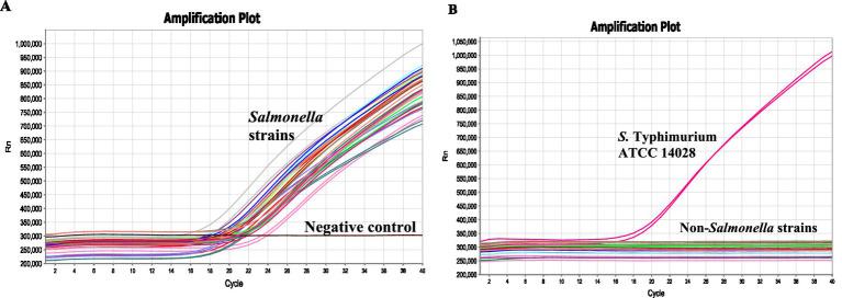 https://cdn.ncbi.nlm.nih.gov/pmc/blobs/a4a7/12307383/05345cddecc2/fmicb-16-1517680-g003.jpg