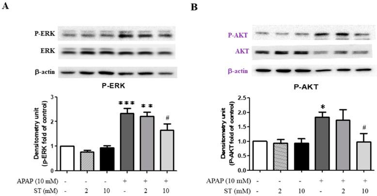 https://cdn.ncbi.nlm.nih.gov/pmc/blobs/a4a9/10855734/8057dfa37006/ijms-25-01484-g002.jpg
