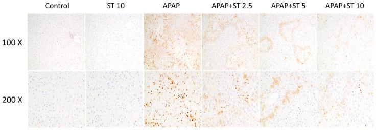 https://cdn.ncbi.nlm.nih.gov/pmc/blobs/a4a9/10855734/97209c62a1b2/ijms-25-01484-g004.jpg