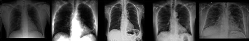 https://cdn.ncbi.nlm.nih.gov/pmc/blobs/a4ab/7680818/013640a30a9e/13755_2020_135_Fig3_HTML.jpg