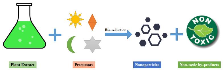 https://cdn.ncbi.nlm.nih.gov/pmc/blobs/a4ac/8004199/2a40e56de55c/molecules-26-01770-g003.jpg