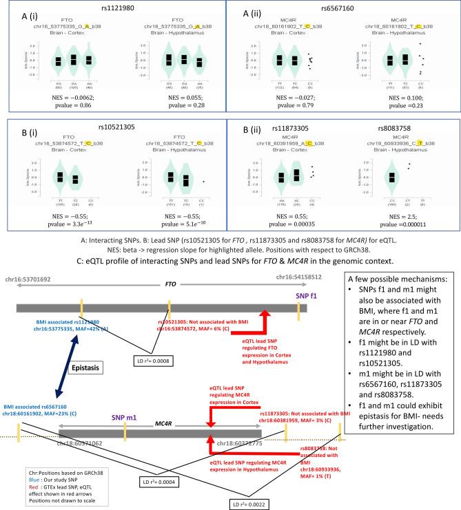 https://cdn.ncbi.nlm.nih.gov/pmc/blobs/a4ae/9068779/7521404118f6/41598_2022_11270_Fig4_HTML.jpg