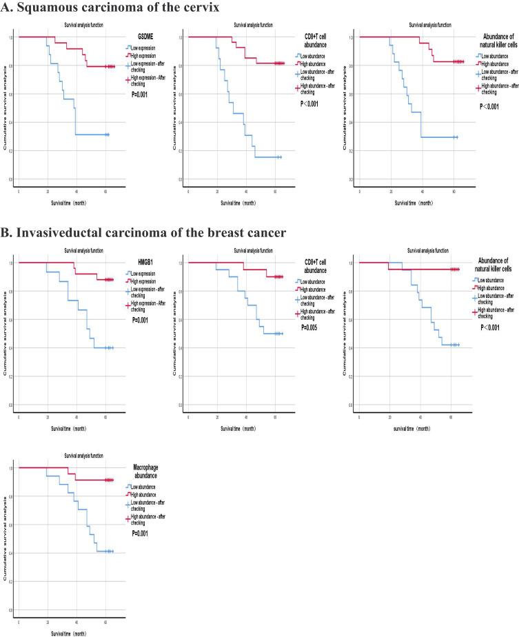 https://cdn.ncbi.nlm.nih.gov/pmc/blobs/a4af/11608053/95b394382731/CMAR-16-1663-g0005.jpg