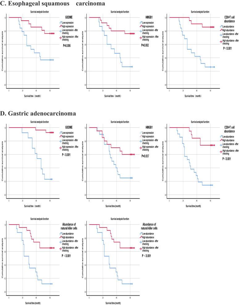 https://cdn.ncbi.nlm.nih.gov/pmc/blobs/a4af/11608053/ad134a4d9b21/CMAR-16-1663-g0006.jpg