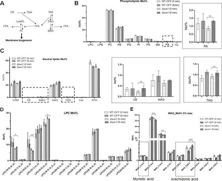 https://cdn.ncbi.nlm.nih.gov/pmc/blobs/a4af/12092005/3f3acb9d9c79/elife-106537-fig3-figsupp2.jpg