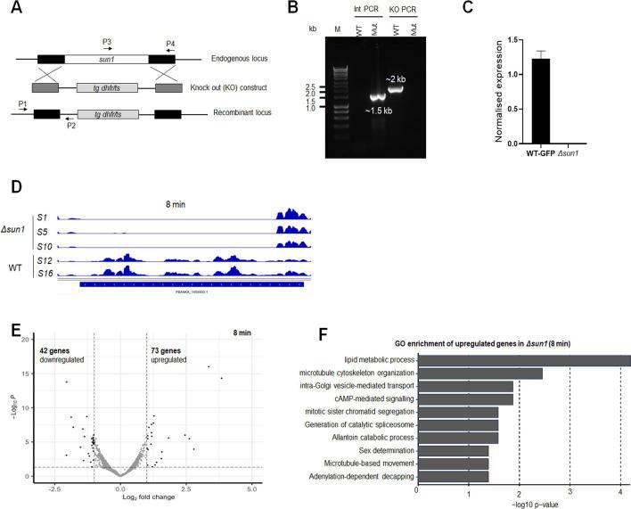 https://cdn.ncbi.nlm.nih.gov/pmc/blobs/a4af/12092005/cbda771c16bb/elife-106537-fig3-figsupp1.jpg