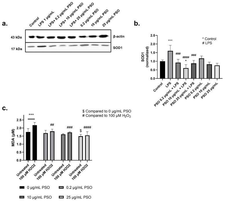 https://cdn.ncbi.nlm.nih.gov/pmc/blobs/a4af/12109235/1e67176b6209/biology-14-00548-g004.jpg