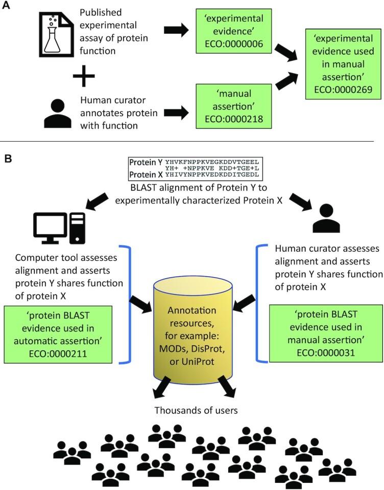 https://cdn.ncbi.nlm.nih.gov/pmc/blobs/a4af/8728134/bc7e5928a8e3/gkab1025fig1.jpg