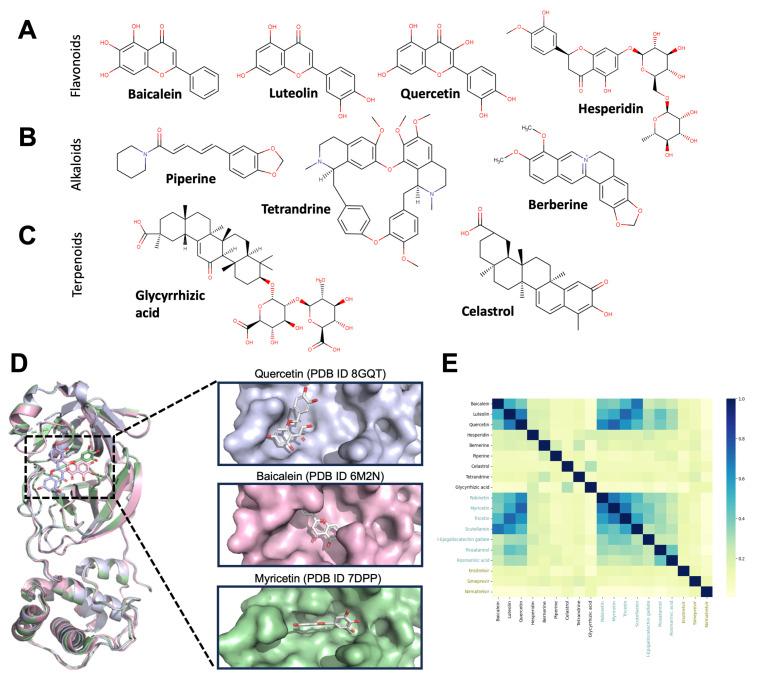 https://cdn.ncbi.nlm.nih.gov/pmc/blobs/a4b0/10669388/4ef46614e4d4/biomolecules-13-01585-g003.jpg