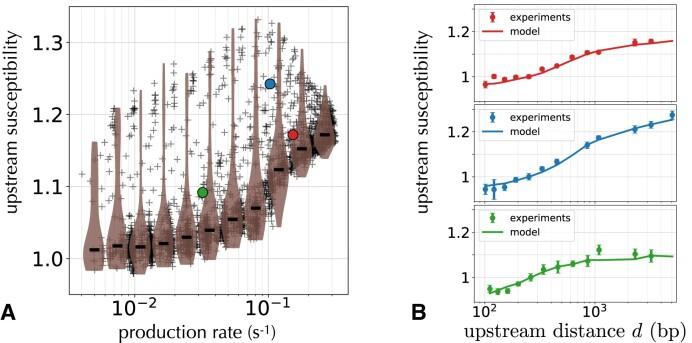 https://cdn.ncbi.nlm.nih.gov/pmc/blobs/a4b4/10570042/819cc793ed33/gkad688fig5.jpg