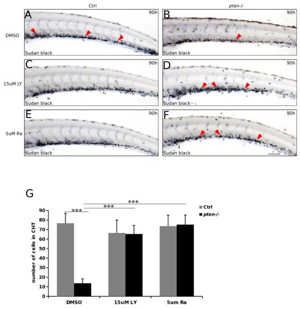 https://cdn.ncbi.nlm.nih.gov/pmc/blobs/a4b4/4015859/2515201413d2/1756-8722-7-17-5.jpg