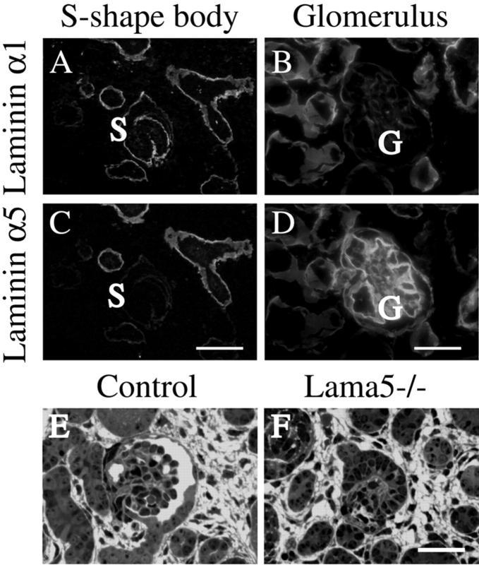 https://cdn.ncbi.nlm.nih.gov/pmc/blobs/a4b7/2172883/190d51b7d780/200211121f1.jpg