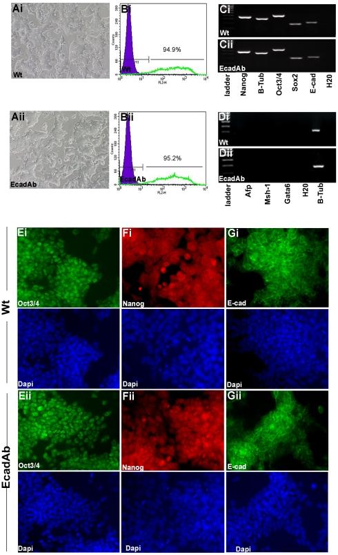 https://cdn.ncbi.nlm.nih.gov/pmc/blobs/a4b8/2944850/c8c88700d98a/pone.0012921.g004.jpg