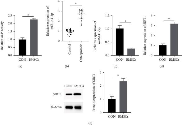 https://cdn.ncbi.nlm.nih.gov/pmc/blobs/a4ba/9918357/14d0b5921e41/SCI2023-9094092.001.jpg