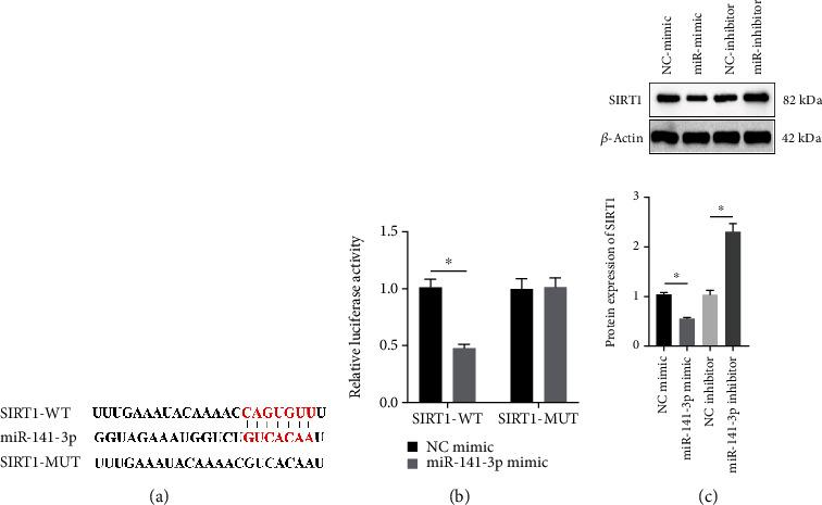 https://cdn.ncbi.nlm.nih.gov/pmc/blobs/a4ba/9918357/e54d98320b62/SCI2023-9094092.003.jpg