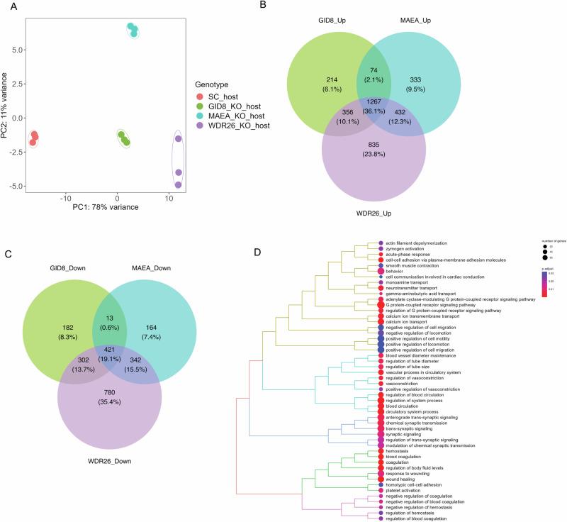 https://cdn.ncbi.nlm.nih.gov/pmc/blobs/a4bb/11522665/95dc1019d55c/41467_2024_53637_Fig4_HTML.jpg