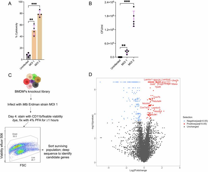 https://cdn.ncbi.nlm.nih.gov/pmc/blobs/a4bb/11522665/e4b785996fe8/41467_2024_53637_Fig1_HTML.jpg