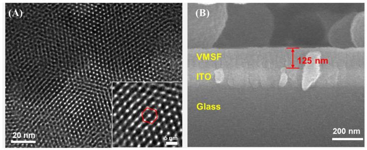 https://cdn.ncbi.nlm.nih.gov/pmc/blobs/a4bb/12190674/15050f31591c/biosensors-15-00377-g002.jpg