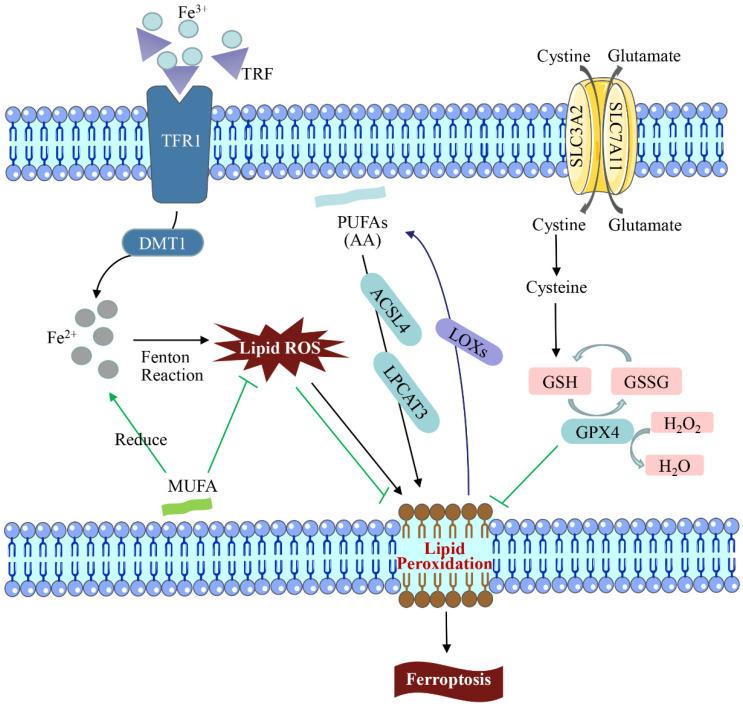 https://cdn.ncbi.nlm.nih.gov/pmc/blobs/a4bd/10142935/0c1a3f068e3d/toxics-11-00395-g001.jpg