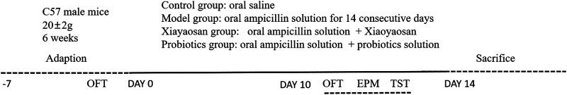https://cdn.ncbi.nlm.nih.gov/pmc/blobs/a4be/8087337/ff9e33482289/fphar-12-619103-g001.jpg
