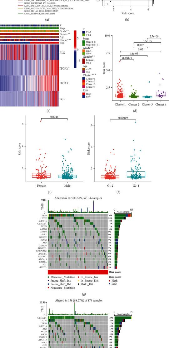 https://cdn.ncbi.nlm.nih.gov/pmc/blobs/a4be/9554665/eb4d2c86731a/OMCL2022-8301888.005.jpg