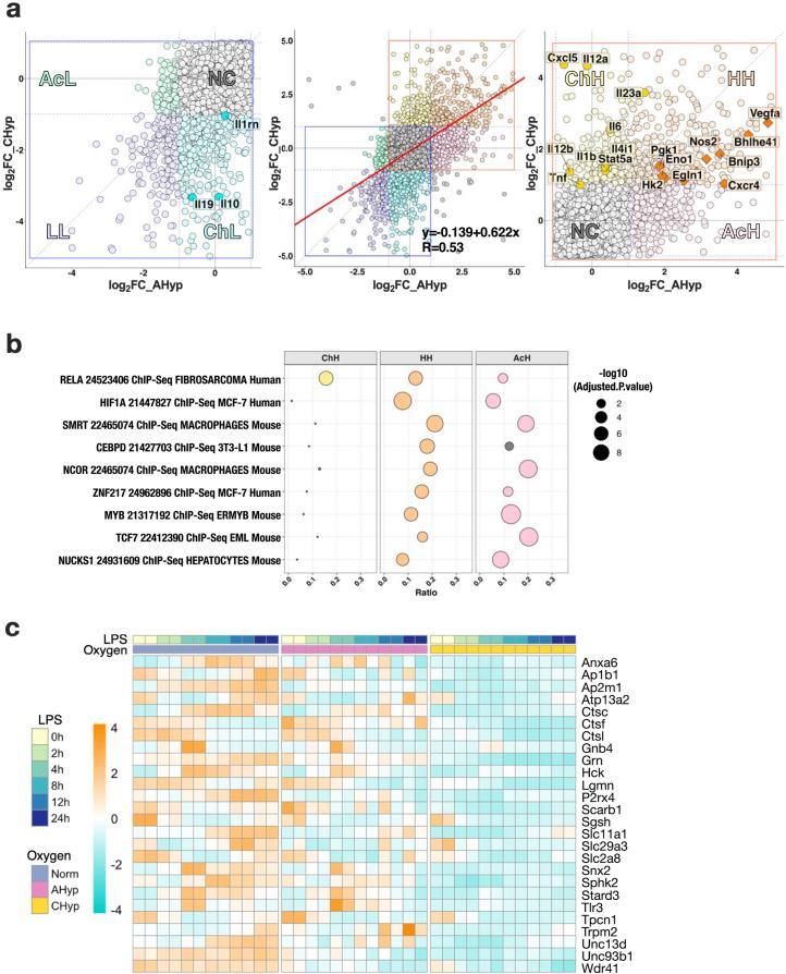 https://cdn.ncbi.nlm.nih.gov/pmc/blobs/a4c1/11599045/2d7b65346306/42255_2024_1053_Fig11_ESM.jpg