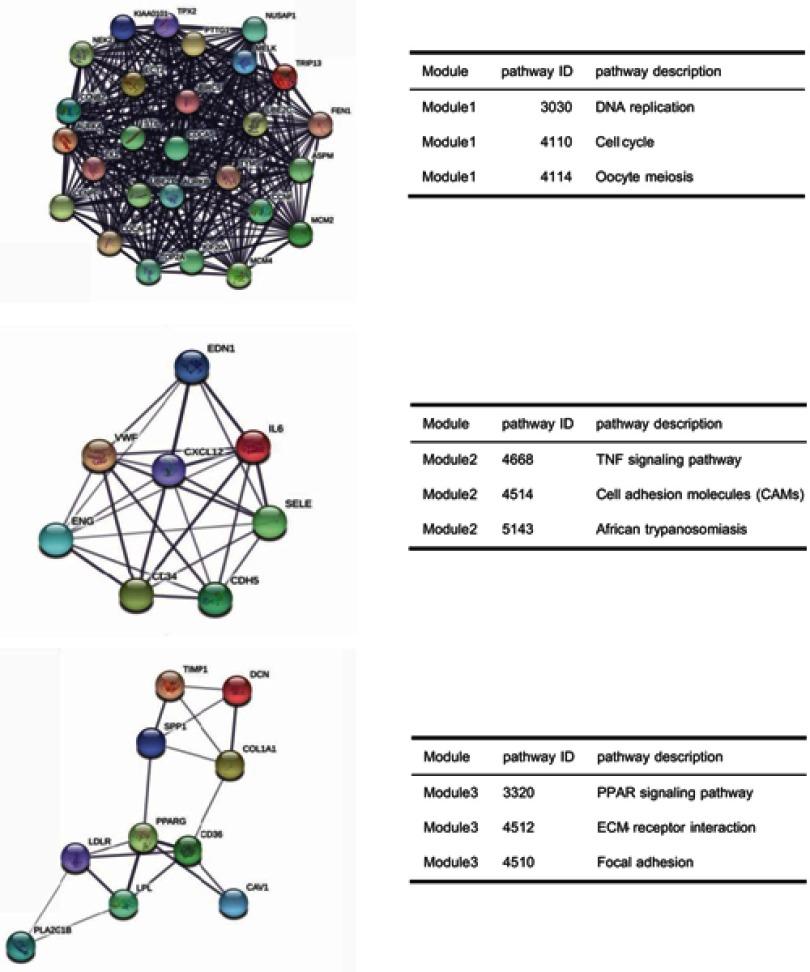 https://cdn.ncbi.nlm.nih.gov/pmc/blobs/a4c3/6526173/72052dcfbc0d/OTT-12-3545-g0005.jpg