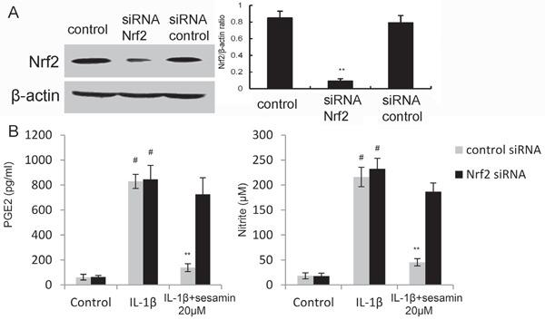 https://cdn.ncbi.nlm.nih.gov/pmc/blobs/a4c4/5347798/b3cef2264a64/oncotarget-07-83720-g006.jpg